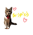 にゃんこ哲太2（個別スタンプ：32）