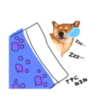 柴犬のむぎちゃん（個別スタンプ：15）
