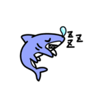 サメ君スタンプ（個別スタンプ：1）
