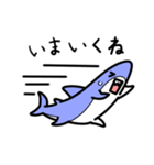 サメ君スタンプ（個別スタンプ：4）