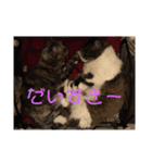 ミケとキキ。（個別スタンプ：7）