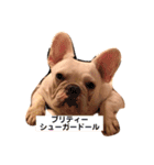 愛犬PrettySugarDollスタンプ（個別スタンプ：3）