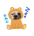 愛犬PrettySugarDollスタンプ（個別スタンプ：14）