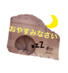 ハムの日常スタンプ（個別スタンプ：4）