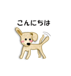 トイプードル ラウちゃんの可愛いスタンプ（個別スタンプ：22）