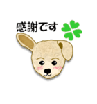 トイプードル ラウちゃんの可愛いスタンプ（個別スタンプ：35）