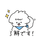 まっしろわんこのモップくん（個別スタンプ：4）