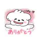 まっしろわんこのモップくん（個別スタンプ：9）