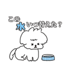 まっしろわんこのモップくん（個別スタンプ：25）