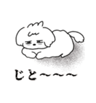 まっしろわんこのモップくん（個別スタンプ：30）