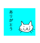 猫顔16（個別スタンプ：13）