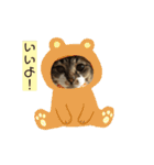 もーとちーのたまに使えるスタンプ（個別スタンプ：5）