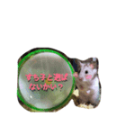 ハムスターのすち子（個別スタンプ：3）