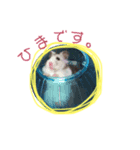ハムスターのすち子（個別スタンプ：7）
