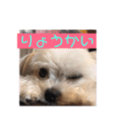 今日のモコ2（個別スタンプ：4）
