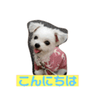 今日のモコ2（個別スタンプ：17）