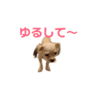 今日のモコ2（個別スタンプ：18）