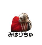 今日のモコ2（個別スタンプ：28）