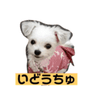 今日のモコ2（個別スタンプ：32）