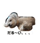 今日のモコ2（個別スタンプ：34）