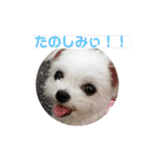 今日のモコ2（個別スタンプ：38）