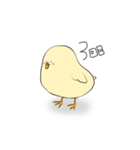 ニワトリの成長記録（個別スタンプ：3）