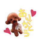 むーはな（個別スタンプ：4）