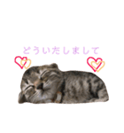 むーはな（個別スタンプ：7）
