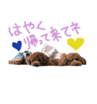 むーはな（個別スタンプ：8）