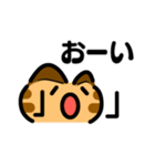 かわいい顔文字なネコたち Vol.5（個別スタンプ：5）
