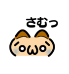 かわいい顔文字なネコたち Vol.5（個別スタンプ：40）