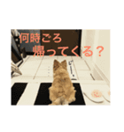 くぅぽんたろう（個別スタンプ：5）