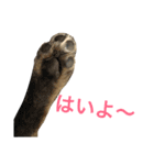くぅぽんたろう（個別スタンプ：6）