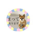 くぅぽんたろう（個別スタンプ：8）