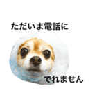 くぅぽんたろう（個別スタンプ：11）