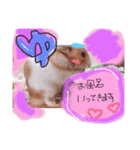 ハムハムデンくん2（個別スタンプ：2）