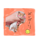 ハムハムデンくん2（個別スタンプ：6）