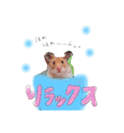 ハムハムデンくん2（個別スタンプ：7）