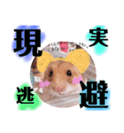 ハムハムデンくん2（個別スタンプ：11）