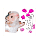 ハムハムデンくん2（個別スタンプ：12）