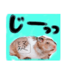 ハムハムデンくん2（個別スタンプ：16）