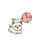 まめた3（個別スタンプ：8）