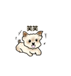 まめた3（個別スタンプ：12）