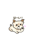まめた3（個別スタンプ：14）
