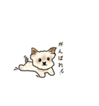 まめた3（個別スタンプ：16）