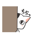 ゆるニャンコ（個別スタンプ：3）