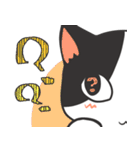 ゆるニャンコ（個別スタンプ：12）