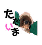 綺花(いろは)（個別スタンプ：6）