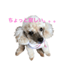 ちびたちなつぶやき（個別スタンプ：1）