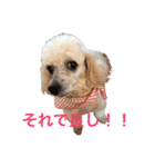 ちびたちなつぶやき（個別スタンプ：2）
